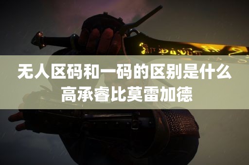 无人区码和一码的区别是什么 高承睿比莫雷加德