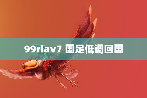 99riav7 国足低调回国