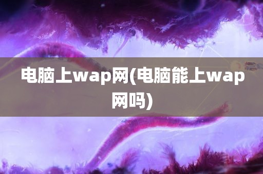 电脑上wap网(电脑能上wap网吗)