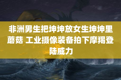 非洲男生把坤坤放女生坤坤里蘑菇 工业摄像装备拍下摩羯登陆威力