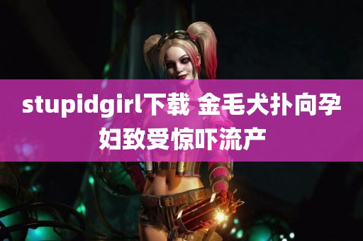 stupidgirl下载 金毛犬扑向孕妇致受惊吓流产