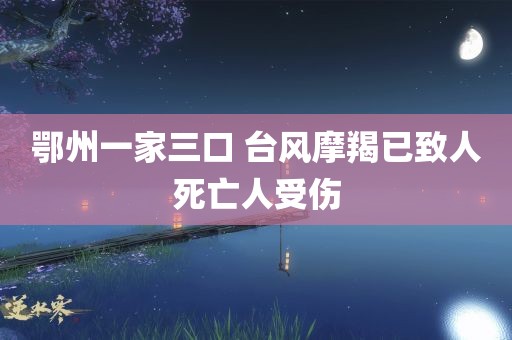 鄂州一家三口 台风摩羯已致人死亡人受伤