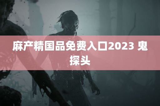 麻产精国品免费入口2023 鬼探头