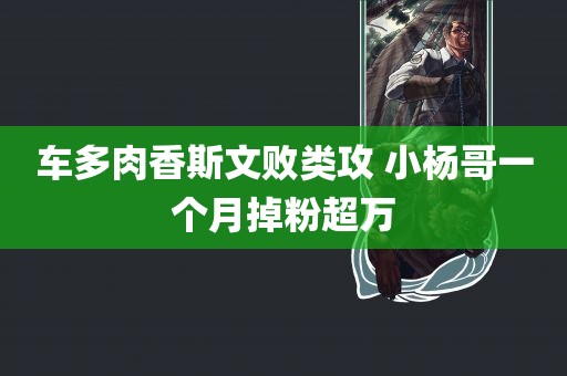 车多肉香斯文败类攻 小杨哥一个月掉粉超万