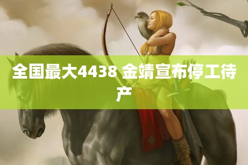 全国最大4438 金靖宣布停工待产