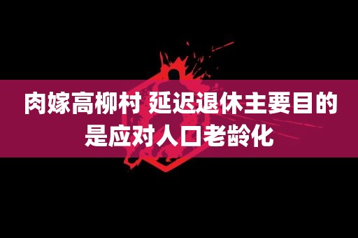 肉嫁高柳村 延迟退休主要目的是应对人口老龄化