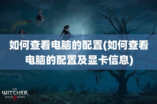 如何查看电脑的配置(如何查看电脑的配置及显卡信息)