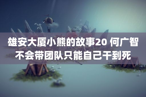 雄安大厦小熊的故事20 何广智不会带团队只能自己干到死