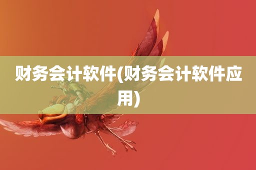 财务会计软件(财务会计软件应用)