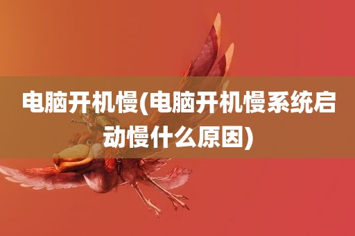 电脑开机慢(电脑开机慢系统启动慢什么原因)