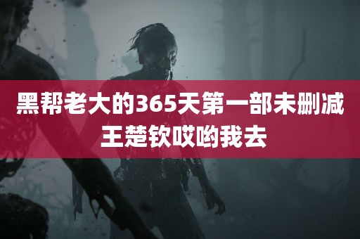 黑帮老大的365天第一部未删减 王楚钦哎哟我去