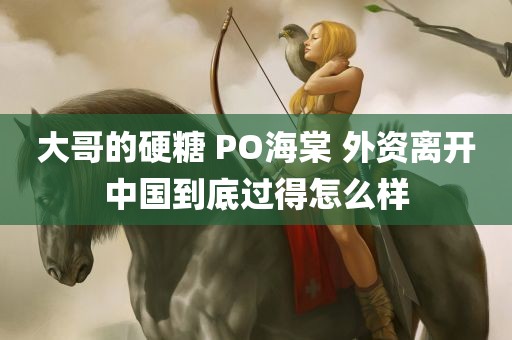 大哥的硬糖 PO海棠 外资离开中国到底过得怎么样