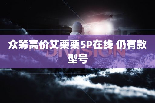 众筹高价艾栗栗5P在线 仍有款型号