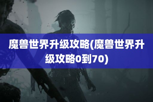 魔兽世界升级攻略(魔兽世界升级攻略0到70)