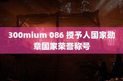 300mium 086 授予人国家勋章国家荣誉称号