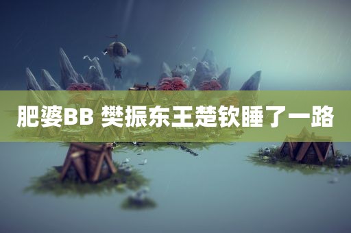 肥婆BB 樊振东王楚钦睡了一路