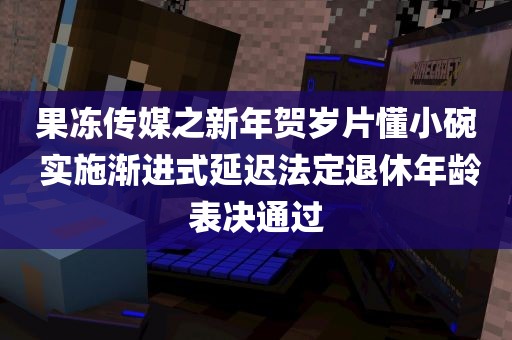 果冻传媒之新年贺岁片懂小碗 实施渐进式延迟法定退休年龄表决通过