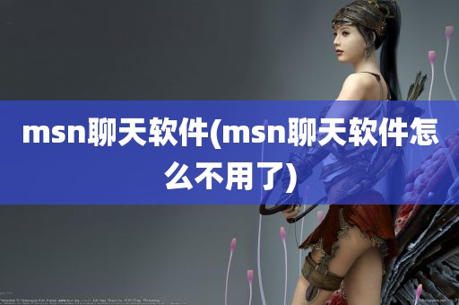 msn聊天软件(msn聊天软件怎么不用了)