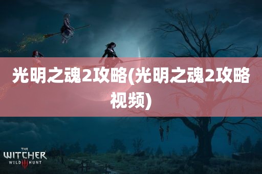 光明之魂2攻略(光明之魂2攻略视频)