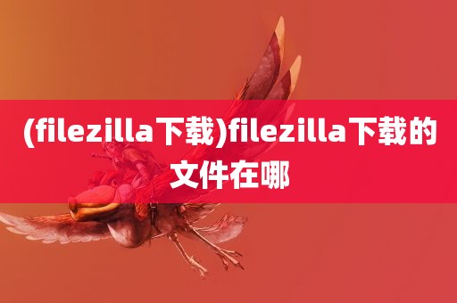 (filezilla下载)filezilla下载的文件在哪