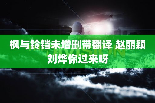 枫与铃铛未增删带翻译 赵丽颖刘烨你过来呀