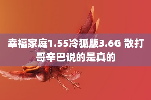 幸福家庭1.55冷狐版3.6G 散打哥辛巴说的是真的