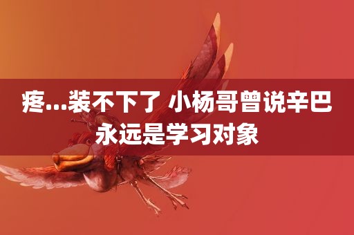 疼...装不下了 小杨哥曾说辛巴永远是学习对象