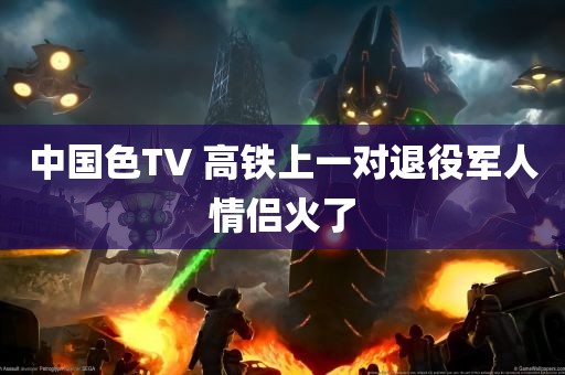 中国色TV 高铁上一对退役军人情侣火了