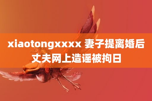 xiaotongxxxx 妻子提离婚后丈夫网上造谣被拘日