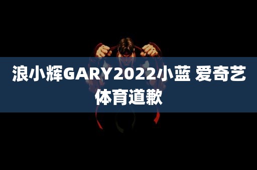 浪小辉GARY2022小蓝 爱奇艺体育道歉