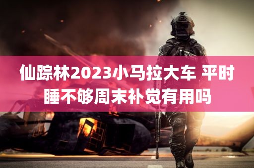 仙踪林2023小马拉大车 平时睡不够周末补觉有用吗