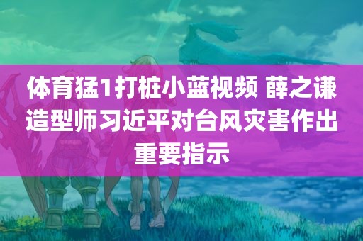 体育猛1打桩小蓝视频 薛之谦造型师习近平对台风灾害作出重要指示