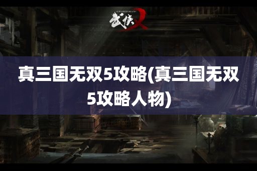 真三国无双5攻略(真三国无双5攻略人物)