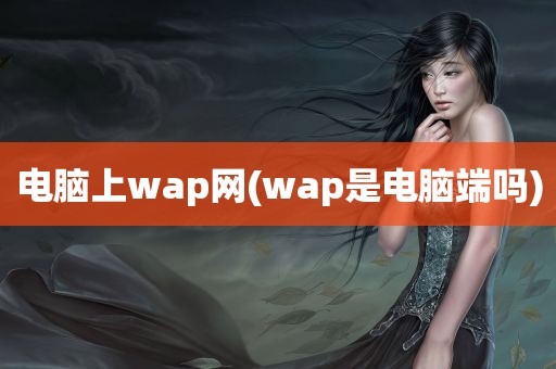 电脑上wap网(wap是电脑端吗)