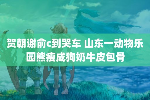 贺朝谢俞c到哭车 山东一动物乐园熊瘦成狗奶牛皮包骨