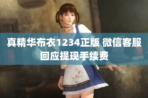 真精华布衣1234正版 微信客服回应提现手续费