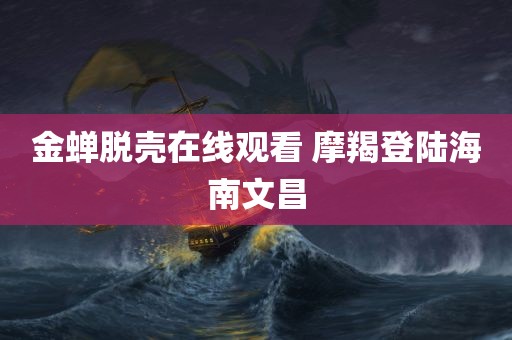 金蝉脱壳在线观看 摩羯登陆海南文昌