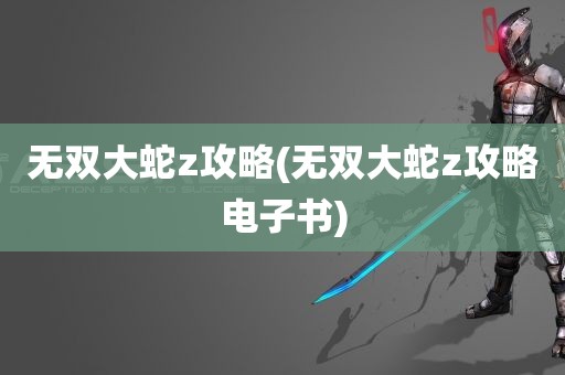 无双大蛇z攻略(无双大蛇z攻略电子书)