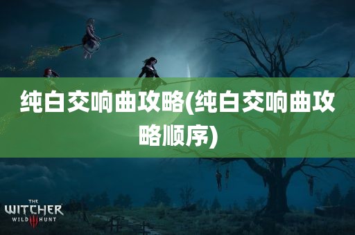 纯白交响曲攻略(纯白交响曲攻略顺序)