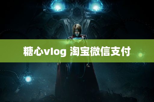 糖心vIog 淘宝微信支付