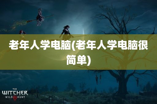 老年人学电脑(老年人学电脑很简单)