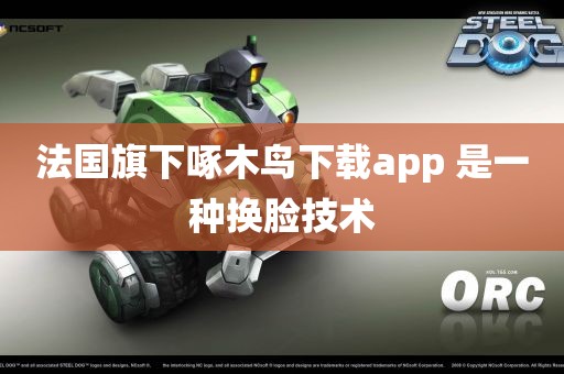 法国旗下啄木鸟下载app 是一种换脸技术