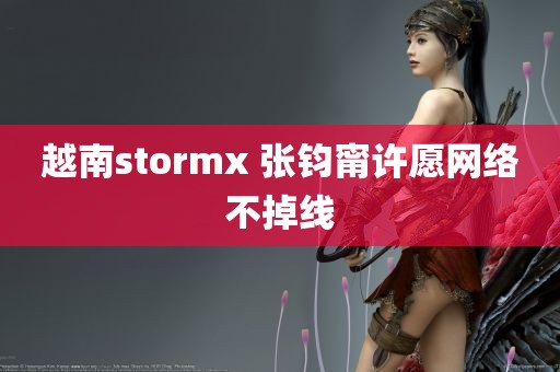 越南stormx 张钧甯许愿网络不掉线