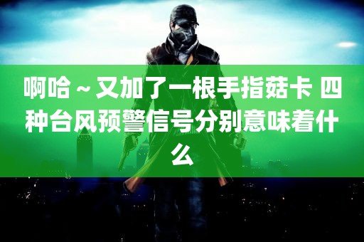 啊哈～又加了一根手指菇卡 四种台风预警信号分别意味着什么