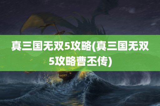 真三国无双5攻略(真三国无双5攻略曹丕传)