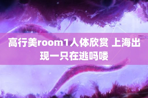 高行美room1人体欣赏 上海出现一只在逃吗喽