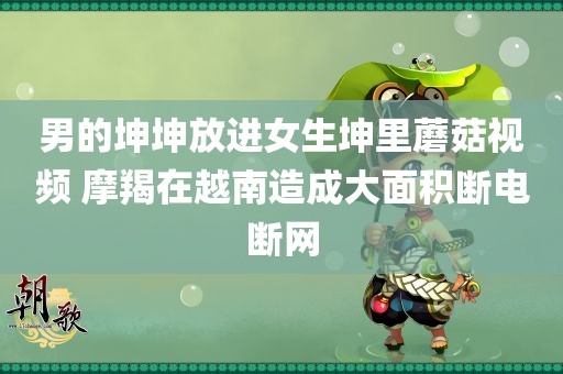 男的坤坤放进女生坤里蘑菇视频 摩羯在越南造成大面积断电断网