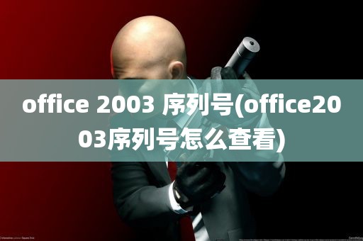 office 2003 序列号(office2003序列号怎么查看)