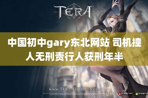 中国初中gary东北网站 司机撞人无刑责行人获刑年半