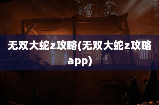 无双大蛇z攻略(无双大蛇z攻略app)